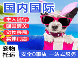 朔州滋润机场托运国际宠物托运 【国